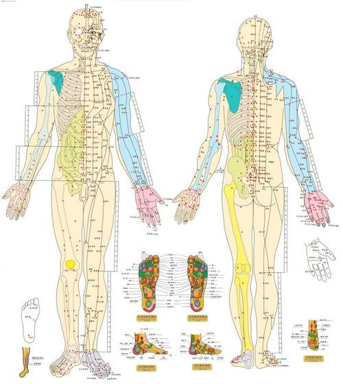 最全高清人体穴位图及穴位图解大全