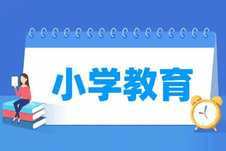 2024小学教辅合集