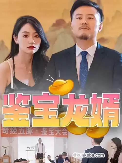 鉴宝龙婿 (短剧)