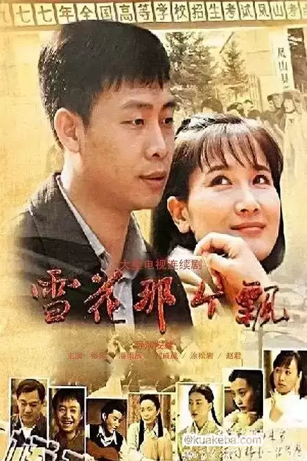 雪花那个飘 (2010) 国语中字 全38集