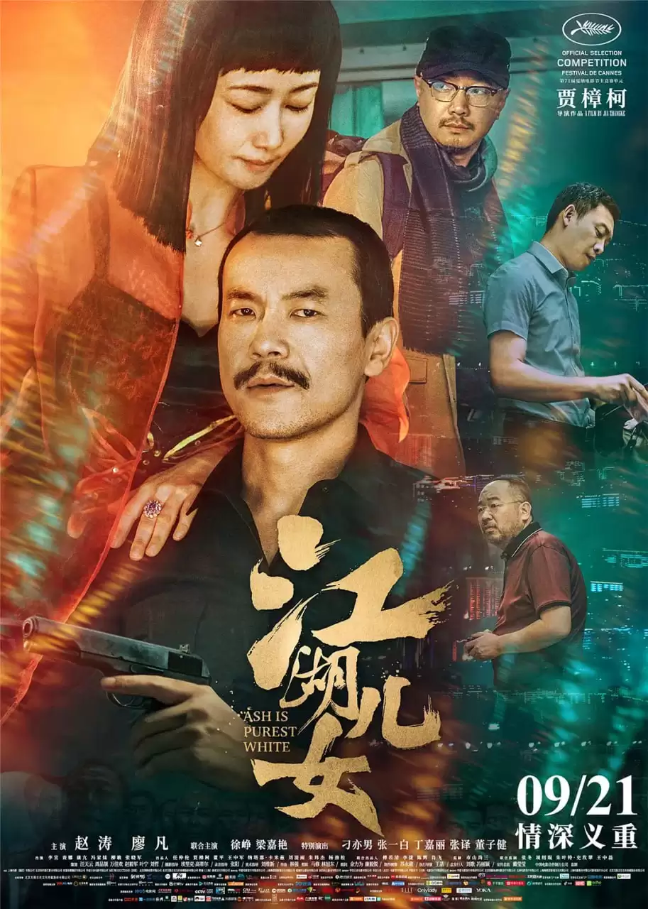 江湖儿女 (2018) 1080P 国语中字