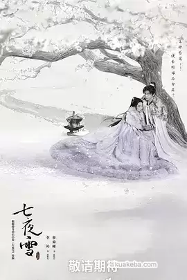 七夜雪 (2024) 4K高码 国语中字