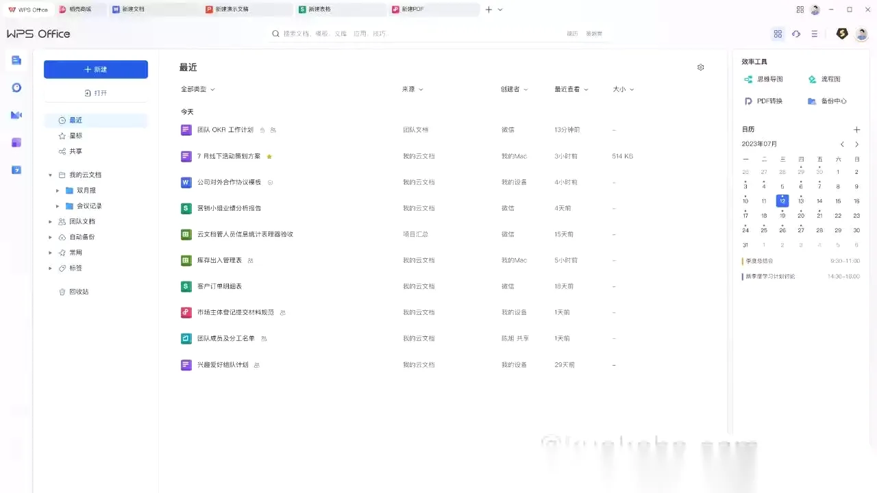 WPS Office 2023专业激活版 - 永久激活授权