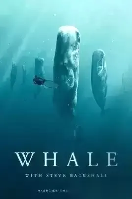 Whale with Steve Backshall  (2023) 1080P 英语中字