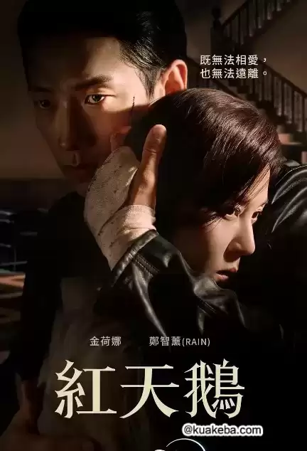 红天鹅 (2024) 4K/1080P 韩语中字