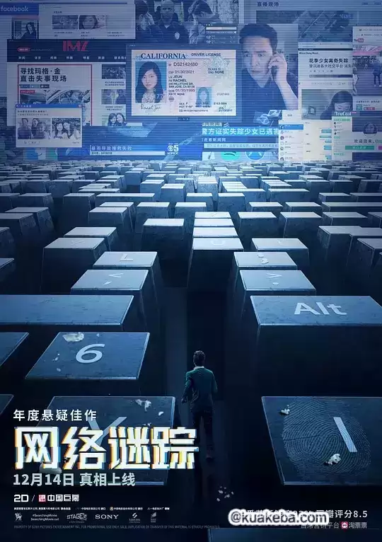 网络谜踪 (2018) 1080P 英语中字