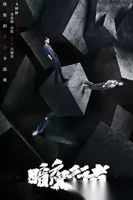 暗夜行者 (2022) 1080P 国语中字 24集全