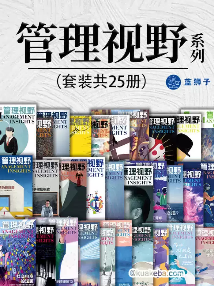 管理视野系列（套装共25册） [﻿套装合集] [pdf+全格式]