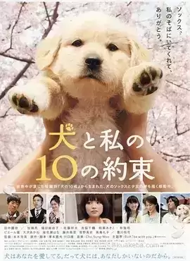 狗狗与我的十个约定 (2008) 1080P 日语中字