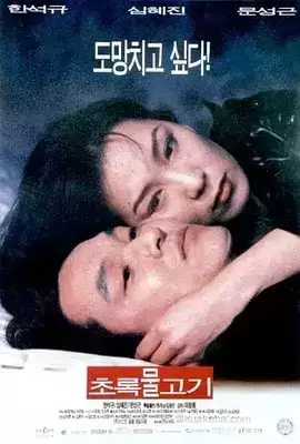 绿鱼 (1997) 720P 韩语中字