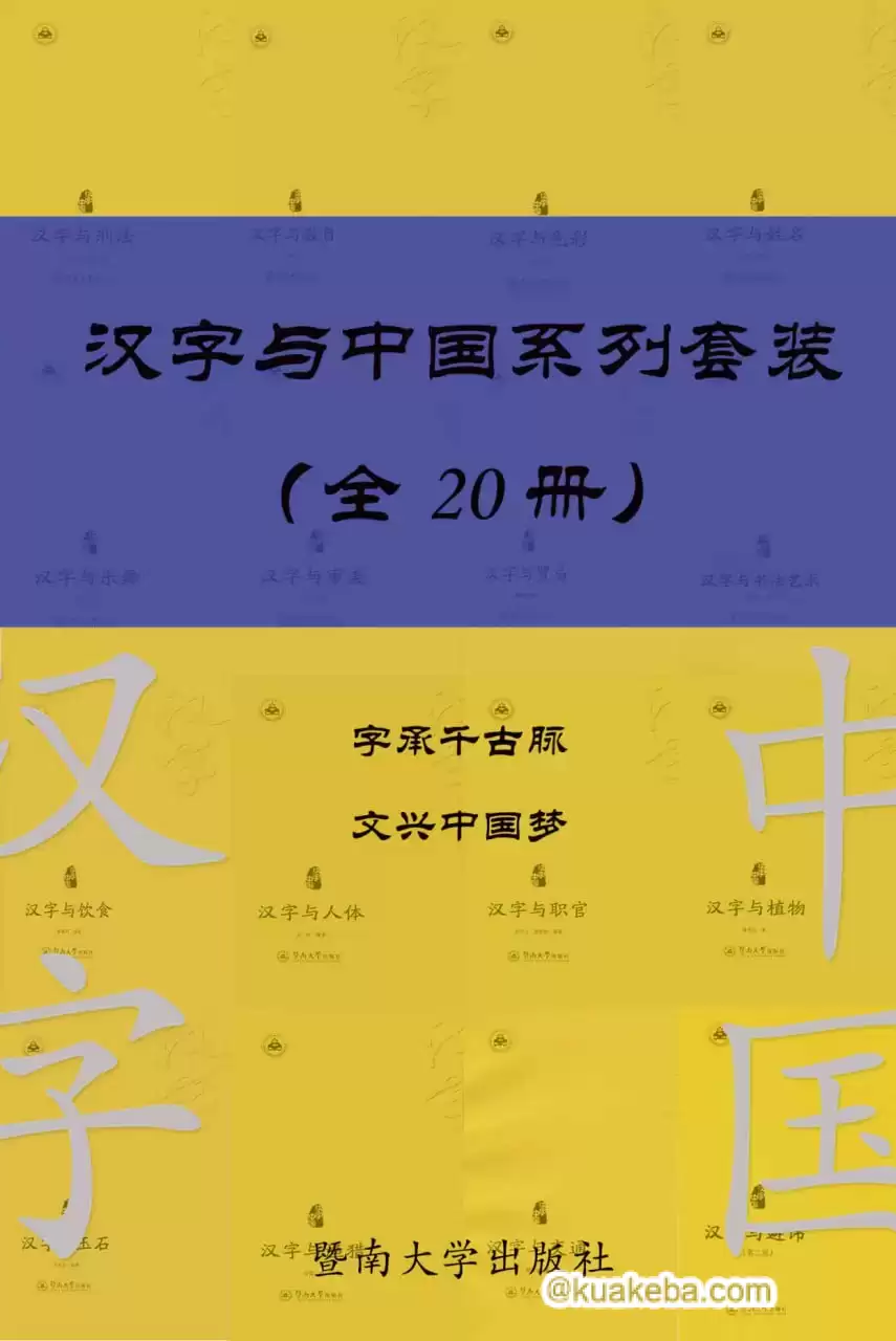 汉字与中国系列套装（共 20 册）  [pdf+全格式]