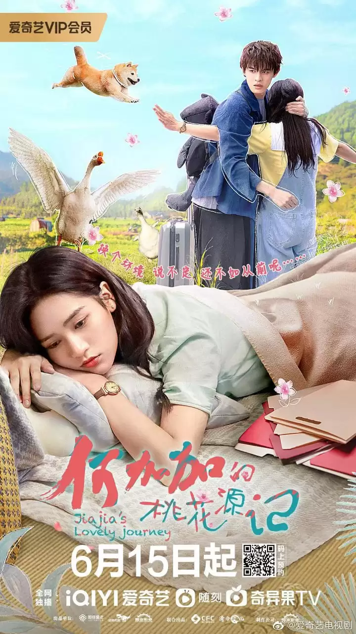 何加加的桃花源记 (2022) 1080P 国语中字 全16集