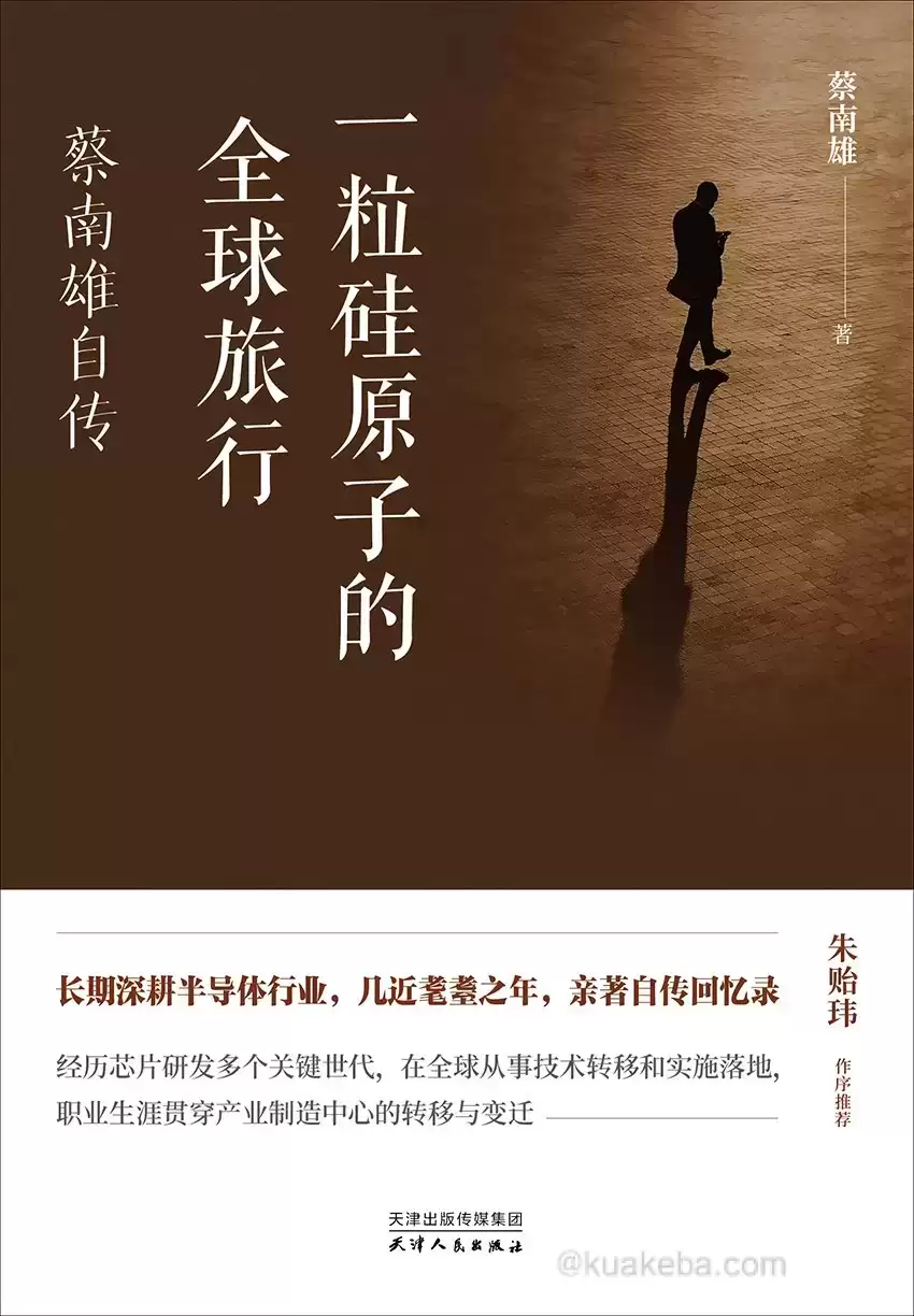 一粒硅原子的全球旅行  [pdf+全格式]